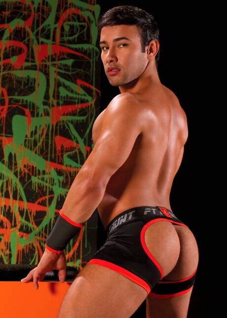 American stars beefcake Nick Sterling and well-built Dorian Ferro have a good anal sex