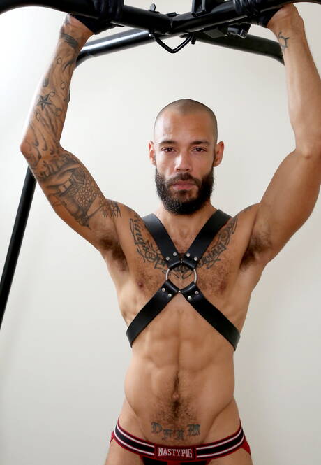 Nasty boys Nubius, Dylan Henri and Leander have a hot interracial threesome sex