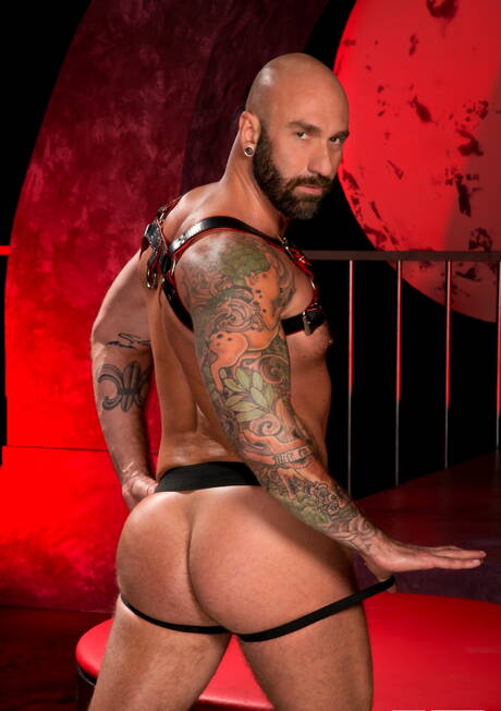 Hot american dudes muscular Brian Bonds and bear Drew Sebastian have a good anal sex with fisting