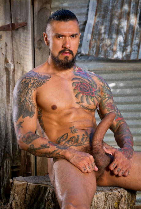 Nice american buddies beefy Boomer Banks and well-built David Benjamin fuck after blowjob outside