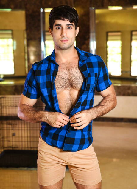 Brazilian muscular Diego Sans and american bodybuilder Damien Stone have a good anal sex