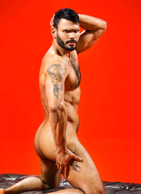 French muscular Francois Sagat and venezuelan hairy stud Jean Franko banged each other