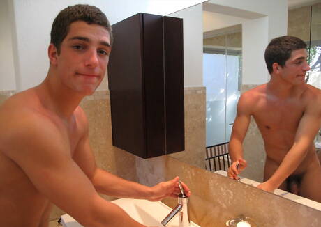 Hunk Ariel Vanean giving head to twink Phillipe Gaudin