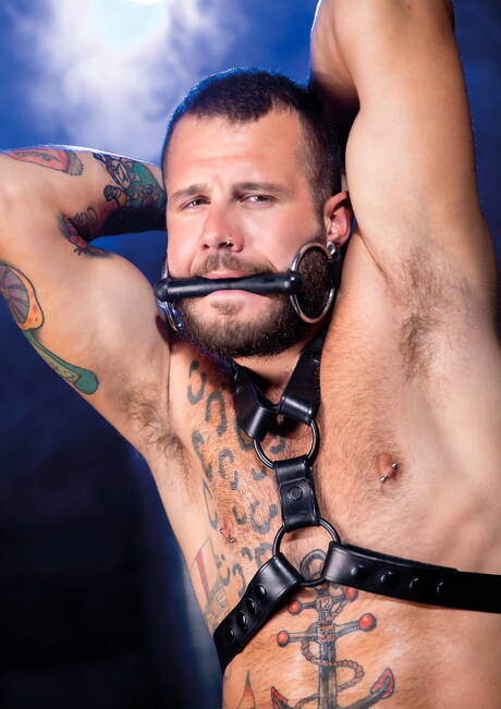 Hot american dudes beefcake Johnny Hill and hunky guy Dillon Diaz have a good interracial sex