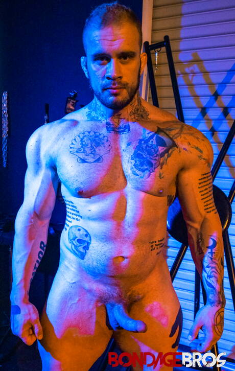 Sexy americans, well-built Devin Franco and strong bull Davin Strong bondaged