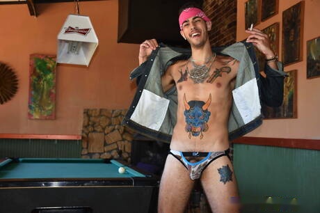 Hot american boys twink Ari Nucci and well-built David Ace have a hot sex